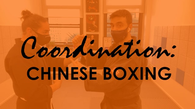 COORDINATION: CHINESE BOXING