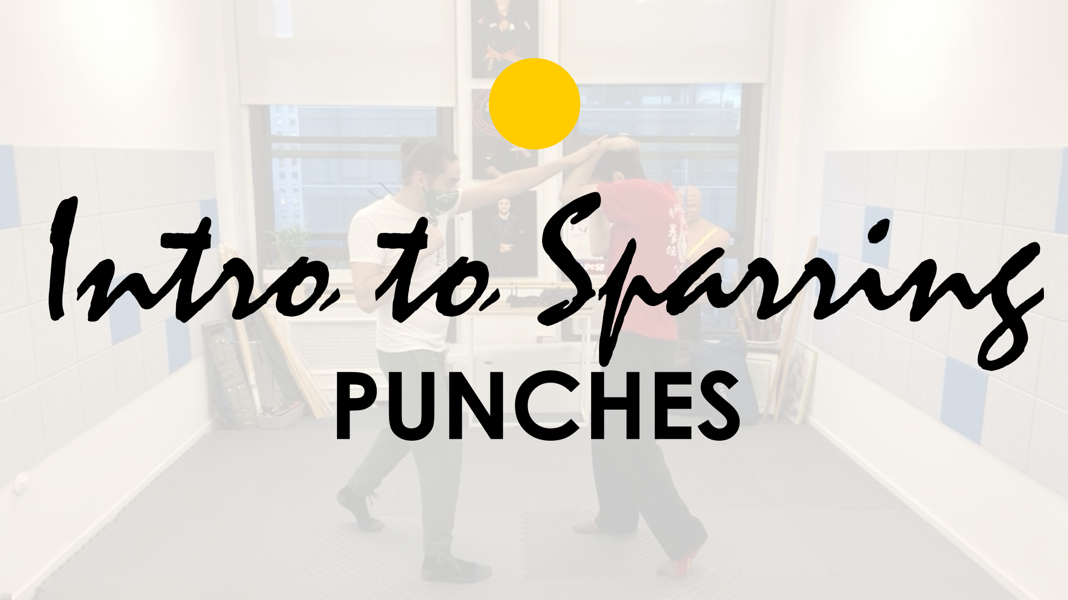 INTRO TO SPARRING: PUNCHES