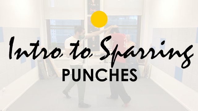 INTRO TO SPARRING: PUNCHES