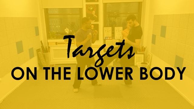 TARGETS ON THE LOWER BODY