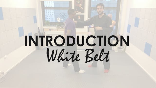 INTRODUCTION. WHITE BELT.