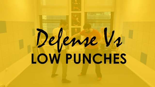 DEFENSE AGAINST LOW PUNCHES