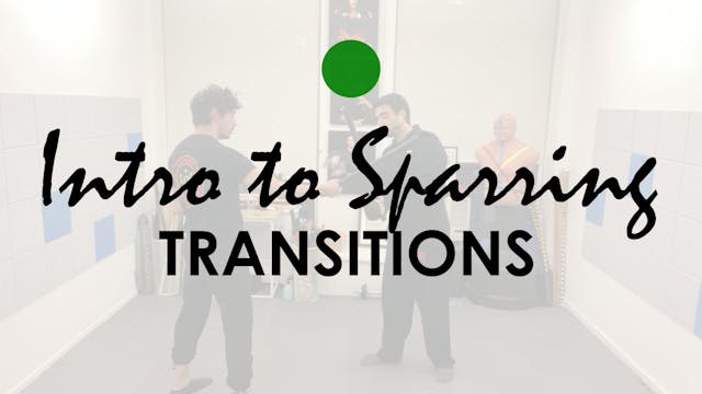 INTRO TO SPARRING. TRANSITIONS