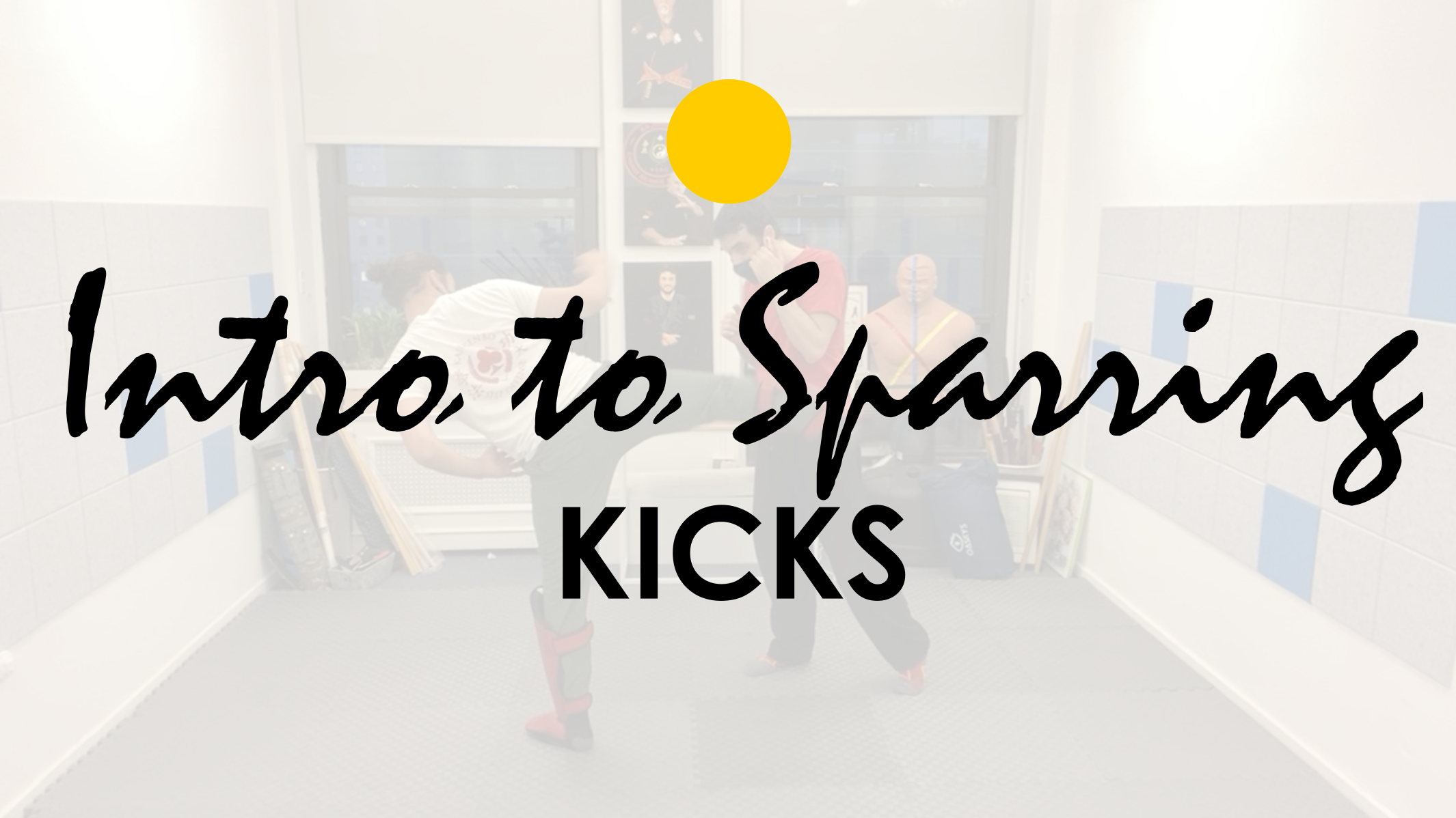 INTRO TO SPARRING: KICKS