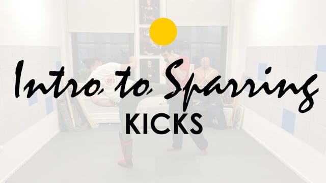 INTRO TO SPARRING: KICKS