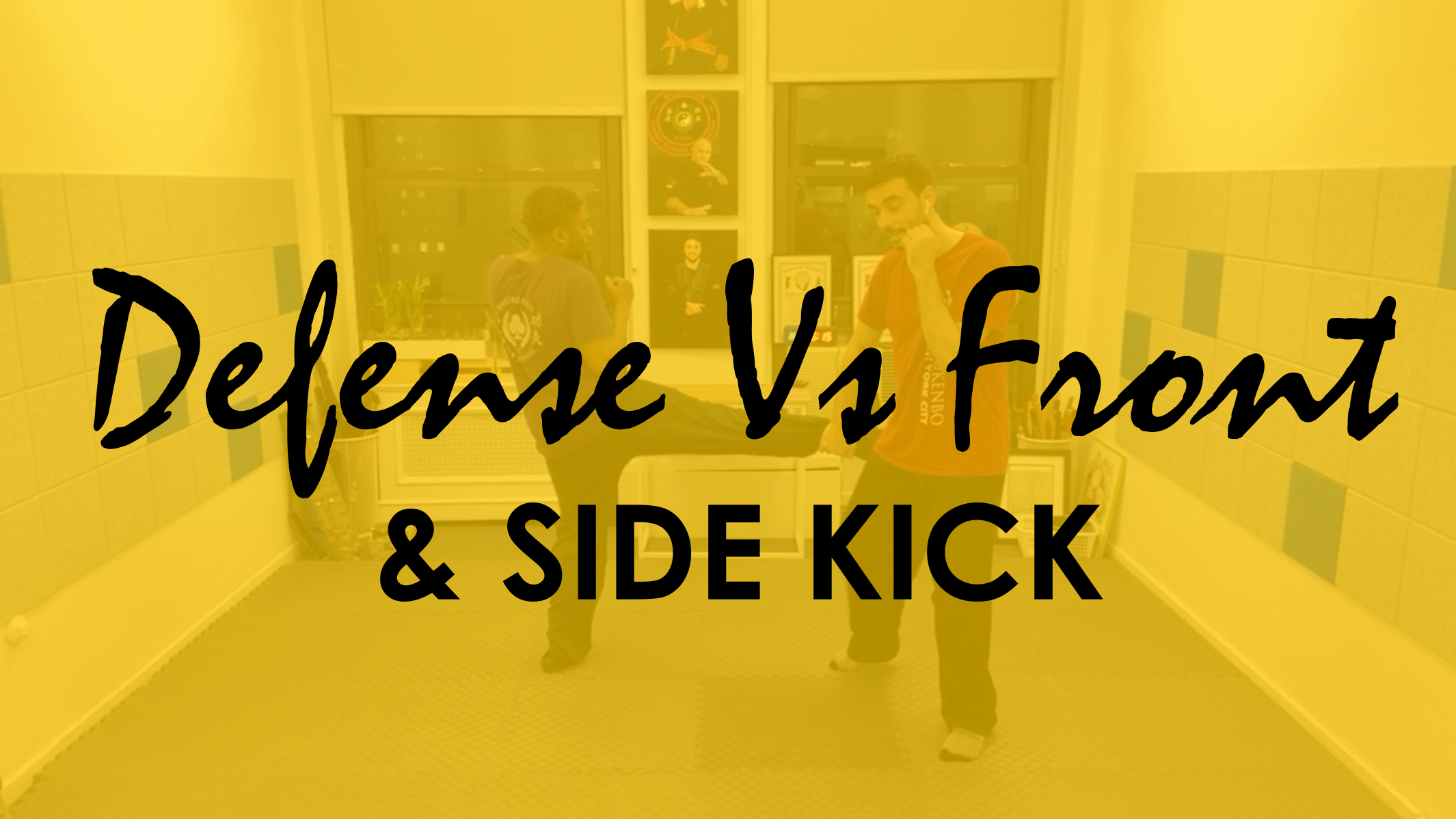 DEFENSE AGAINST FRONT AND SIDE KICKS