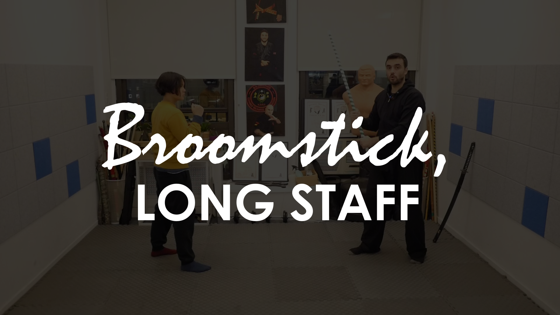 BLUNT OBJECTS. BROOMSTICK, STAFF...