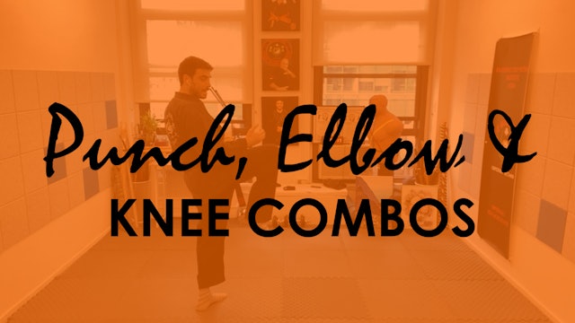 PUNCH, ELBOW, KNEE COMBINATIONS