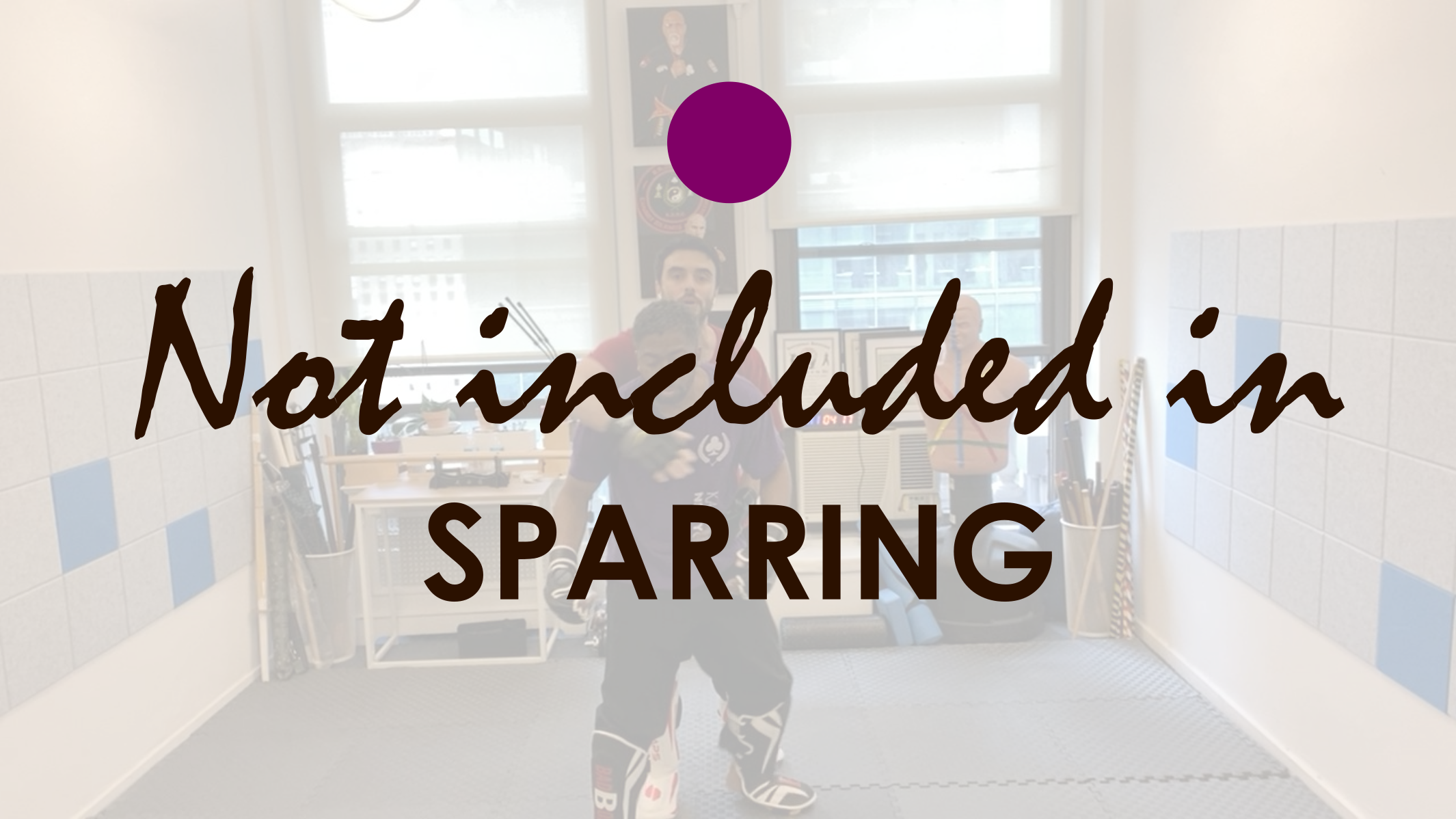 ELEMENTS NOT INCLUDED IN SPARRING