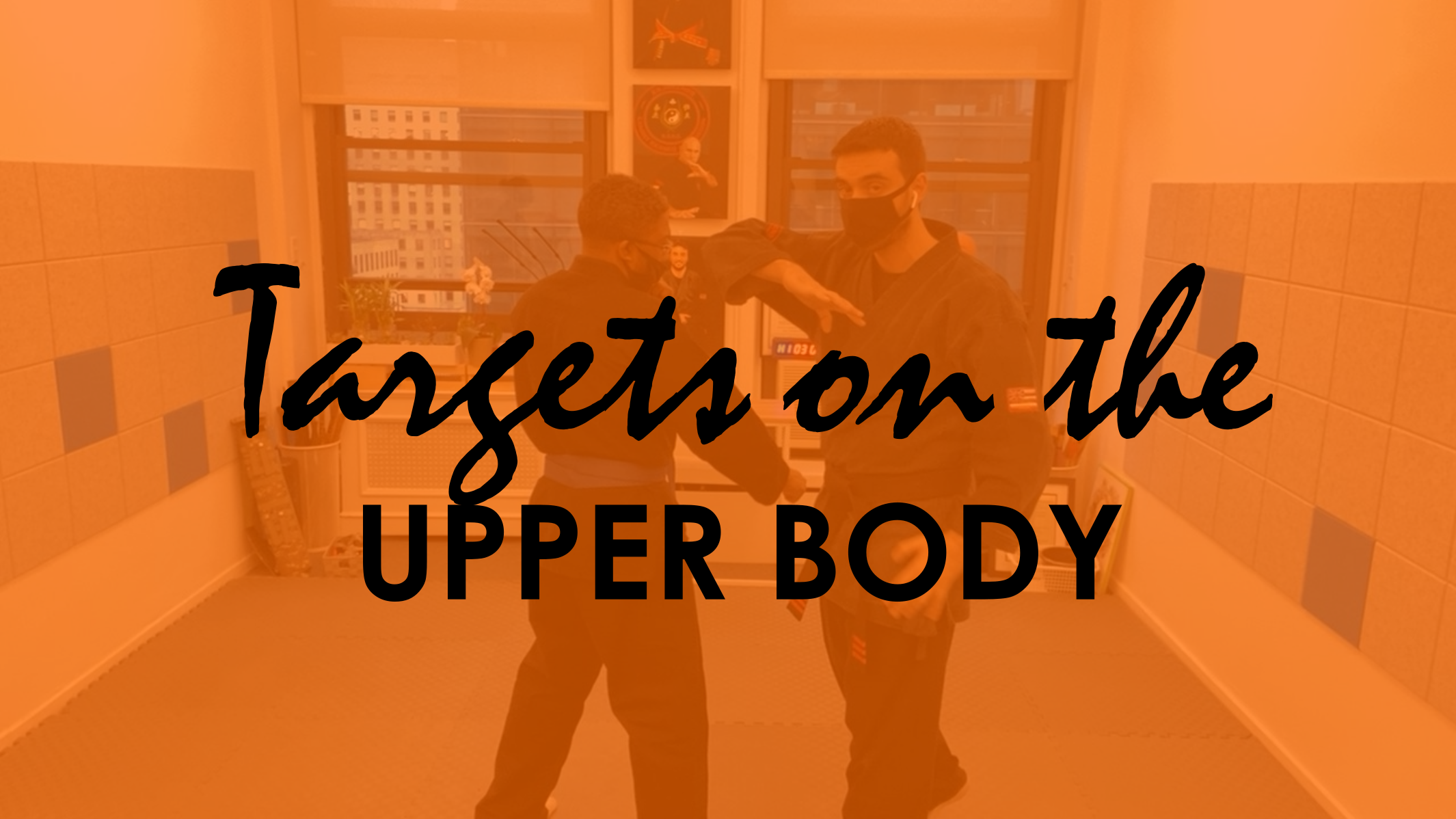 TARGETS ON THE UPPER BODY