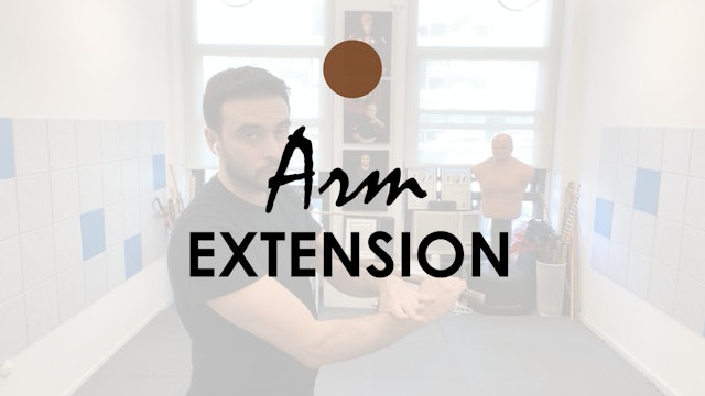 ARM EXTENSION