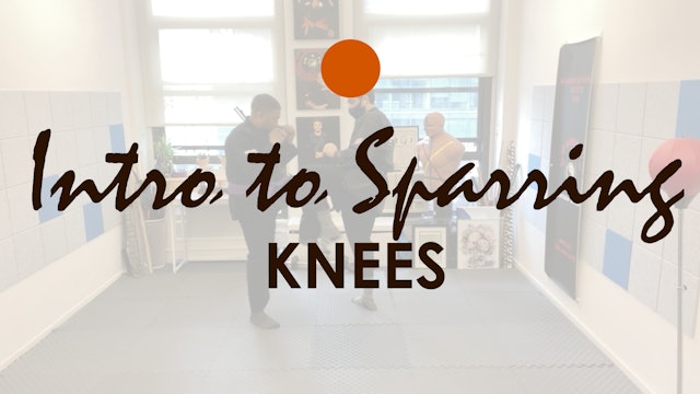 INTRO TO SPARRING. KNEES