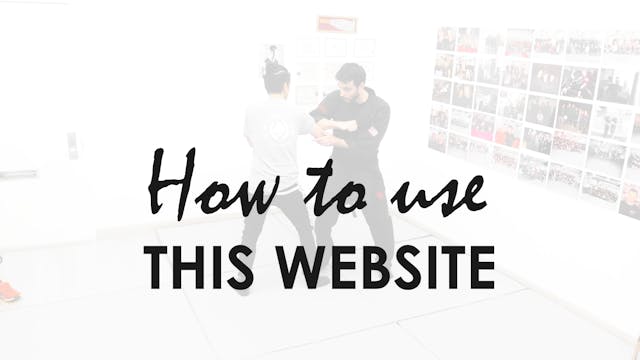 HOW TO USE THIS WEBSITE
