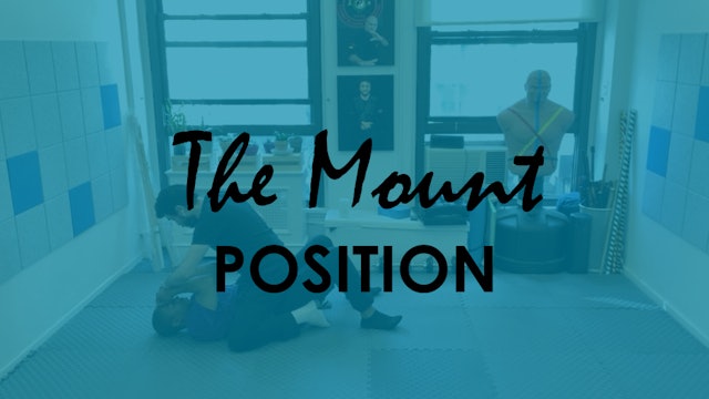 THE MOUNT POSITION