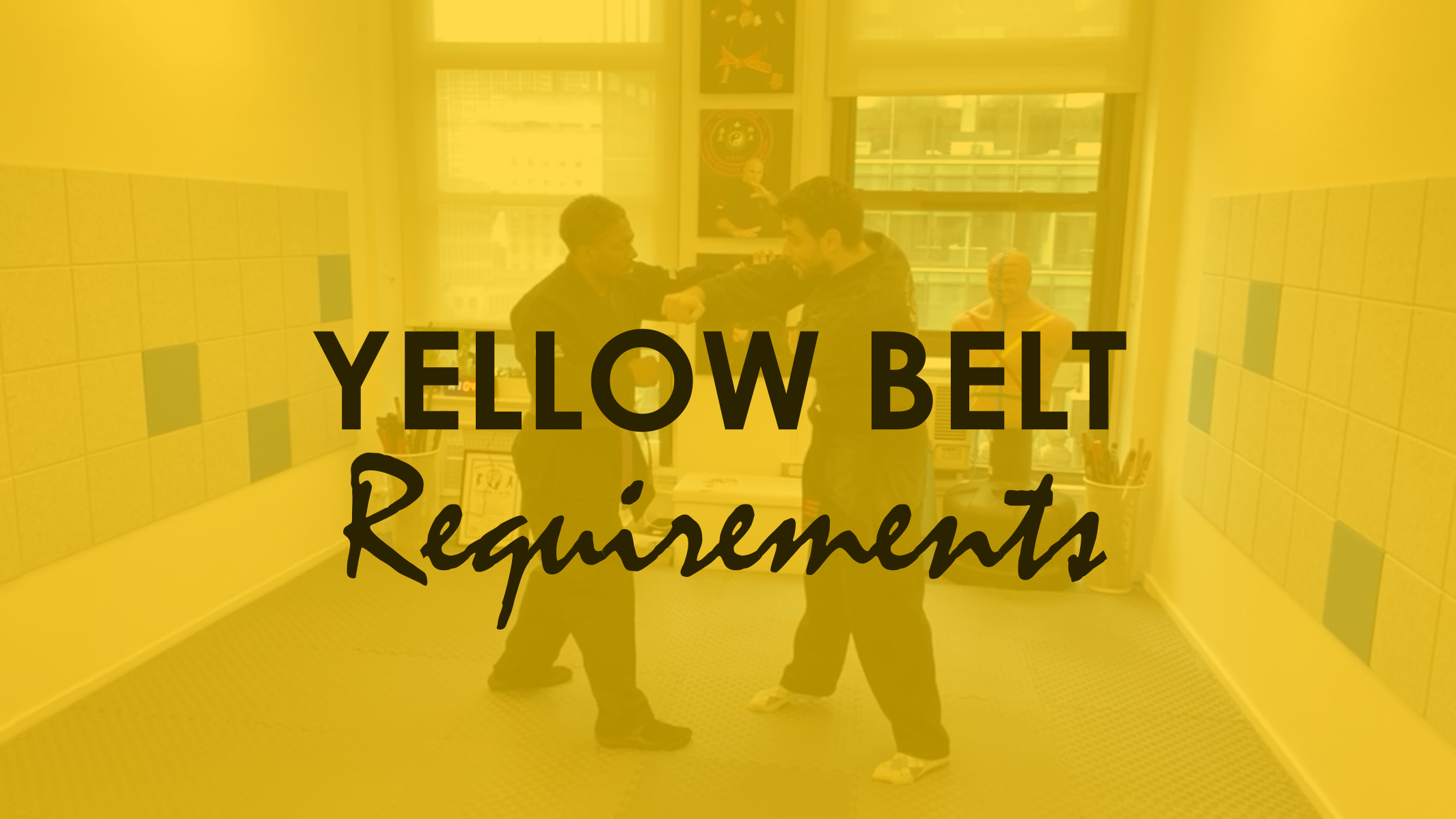 YELLOW BELT REQUIREMENTS KAJUKENBO ONLINE TRAINING