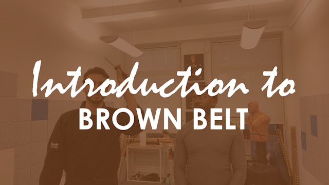 INTRODUCTION TO BROWN BELT