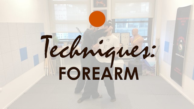 SAMPLE TECHNIQUES EMPHASIZING THE USE OF FOREARMS