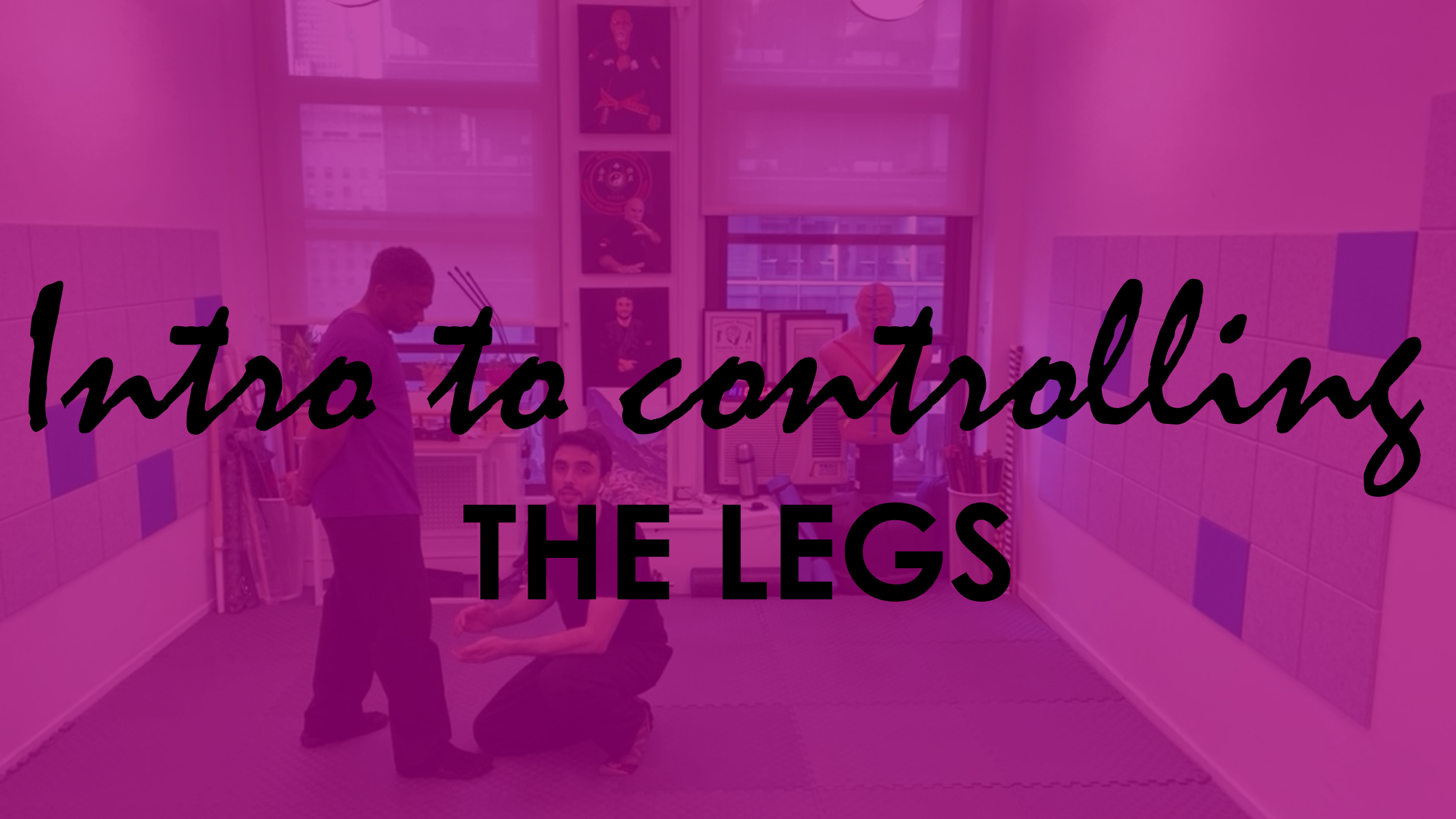 INTRO TO CONTROLLING THE LEGS