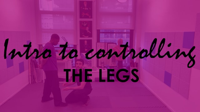 INTRO TO CONTROLLING THE LEGS