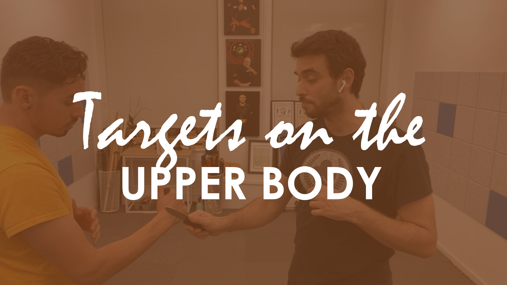 TARGETS ON THE UPPER BODY