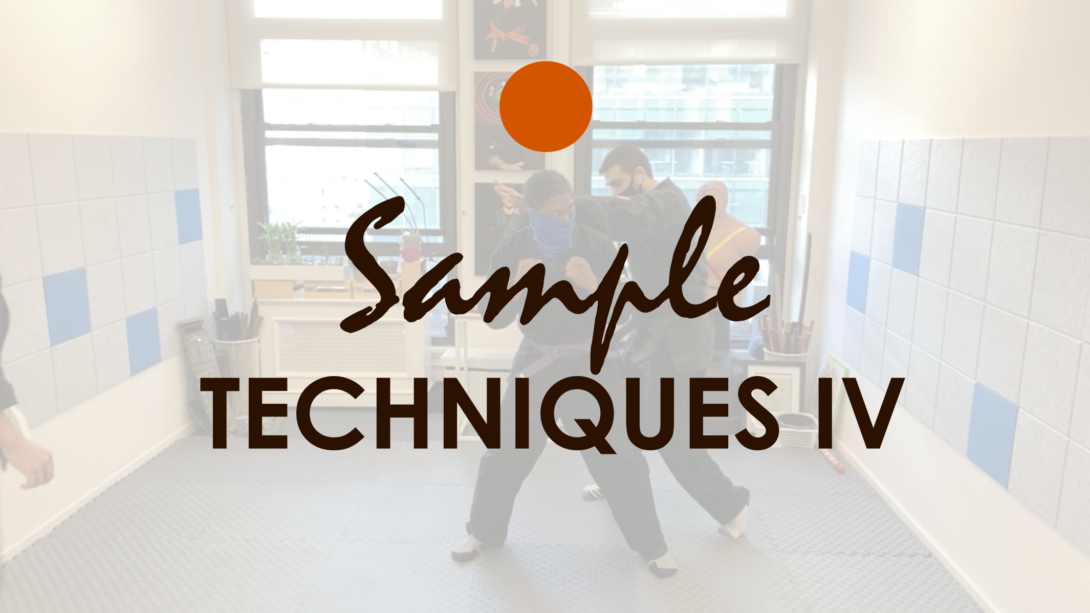 SAMPLE TECHNIQUES IV