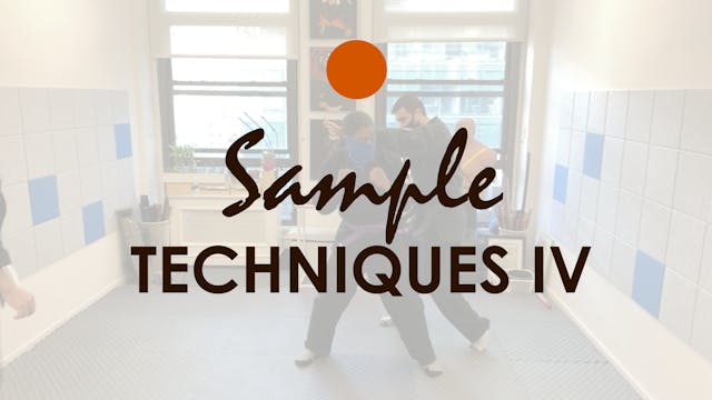 SAMPLE TECHNIQUES IV