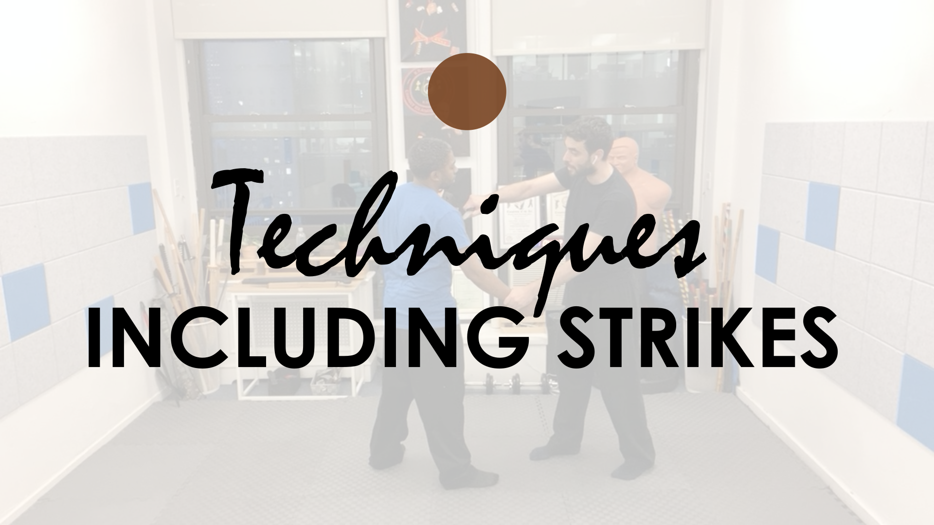TECHNIQUES INCLUDING STRIKES