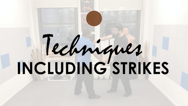TECHNIQUES INCLUDING STRIKES