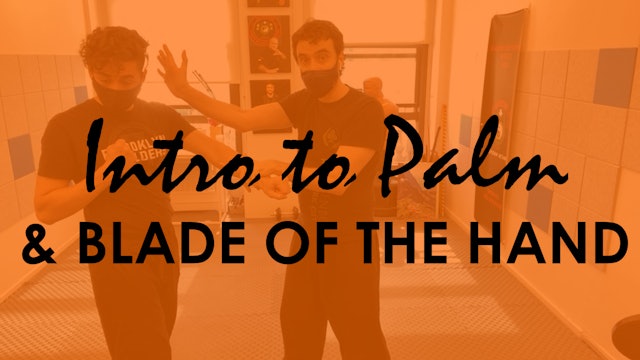 INTRO TO PALM STRIKES AND THE USE OF THE BLADE OF THE HAND