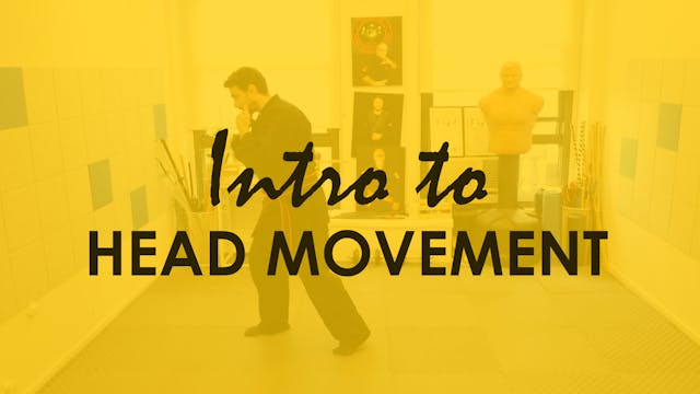 INTRO TO HEAD MOVEMENT