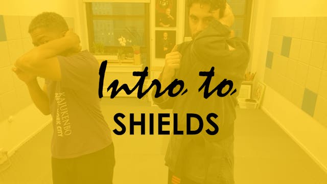 INTRO TO SHIELDS