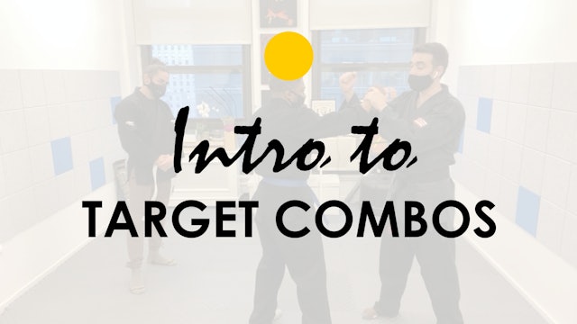 INTRO TO TARGET COMBINATIONS