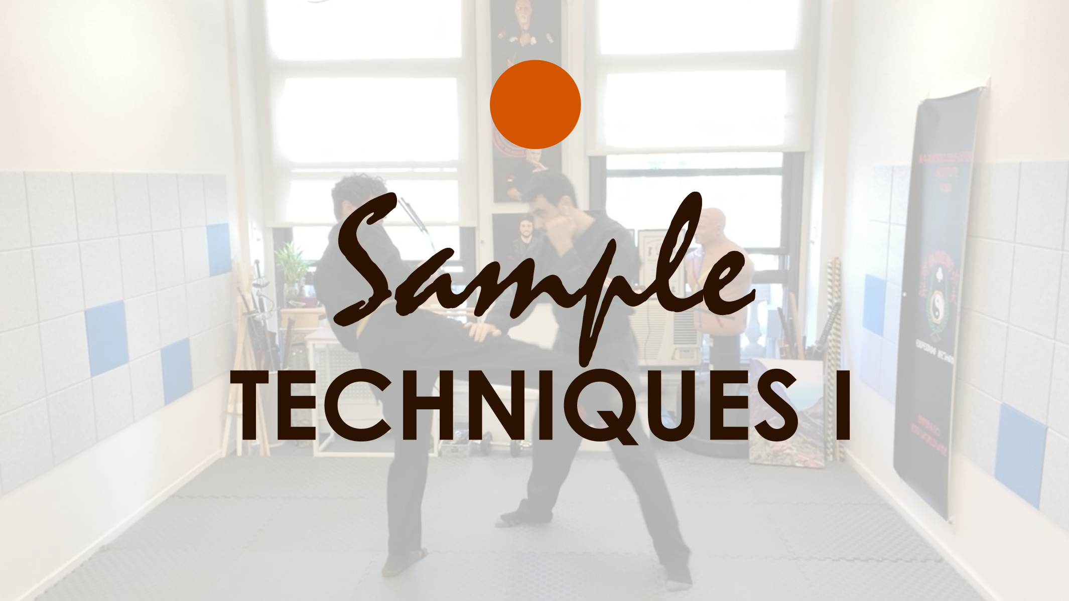 SAMPLE TECHNIQUES I