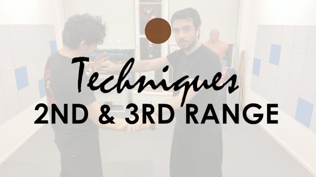 TECHNIQUES IN THE SECOND AND THIRD RANGE