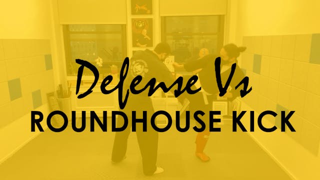 DEFENSE AGAINST ROUNDHOUSE KICKS