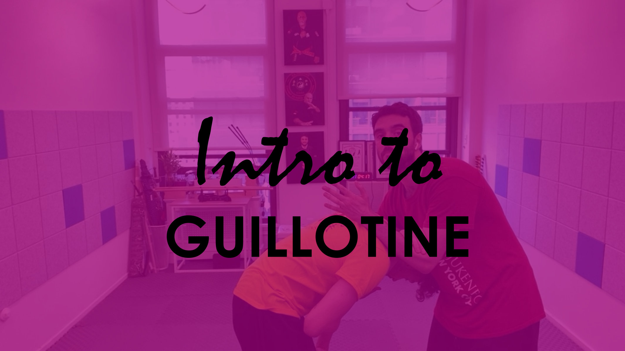 INTRO TO GUILLOTINE