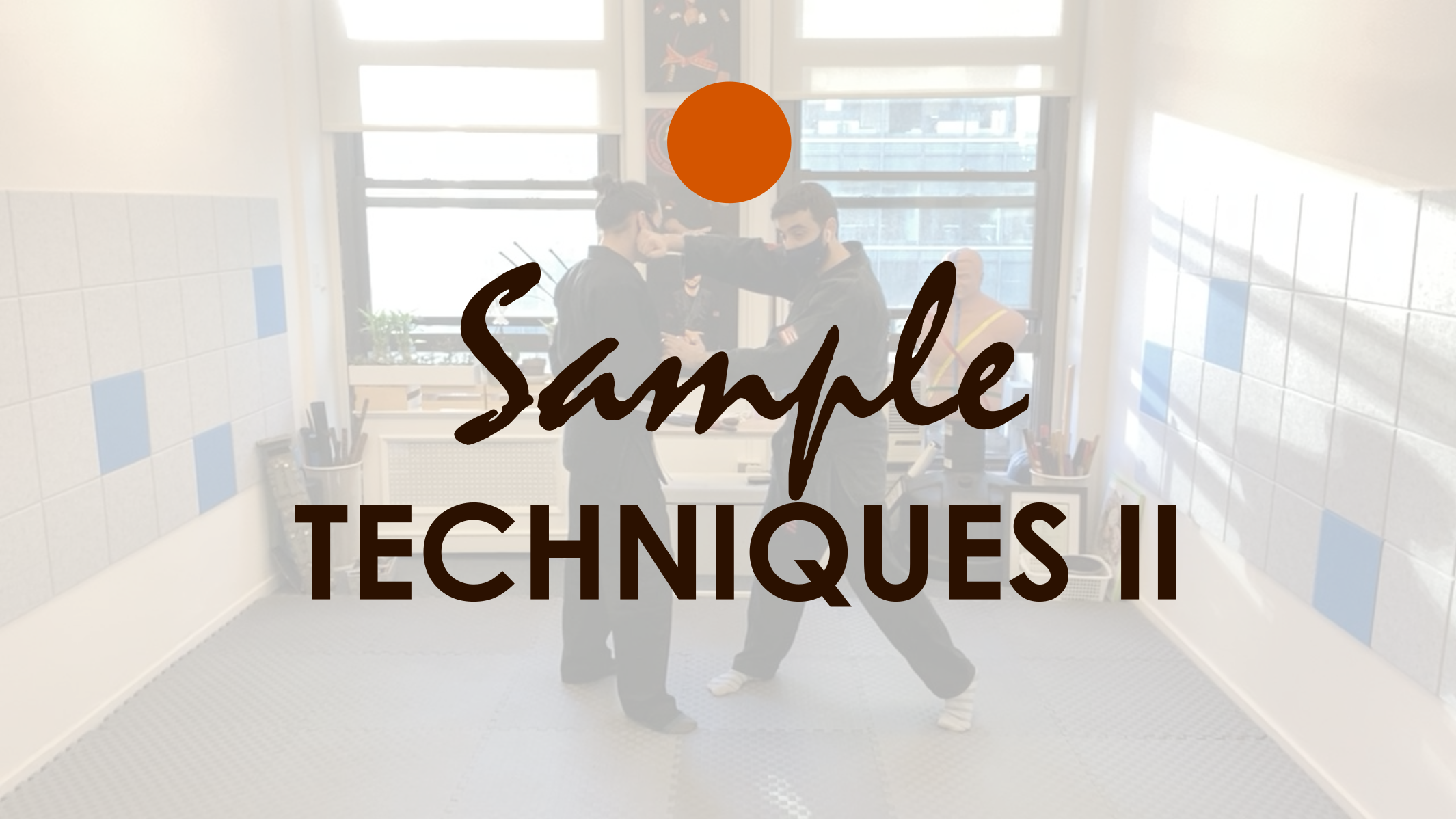 SAMPLE TECHNIQUES II