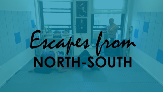 ESCAPES FROM THE NORTH-SOUTH POSITION