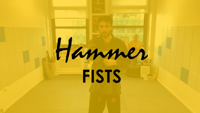 HAMMER FISTS