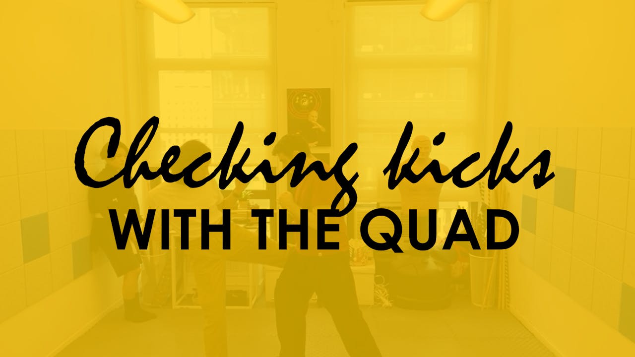 CHECKING KICKS WITH THE QUAD - YELLOW BELT REQUIREMENTS - KAJUKENBO ...