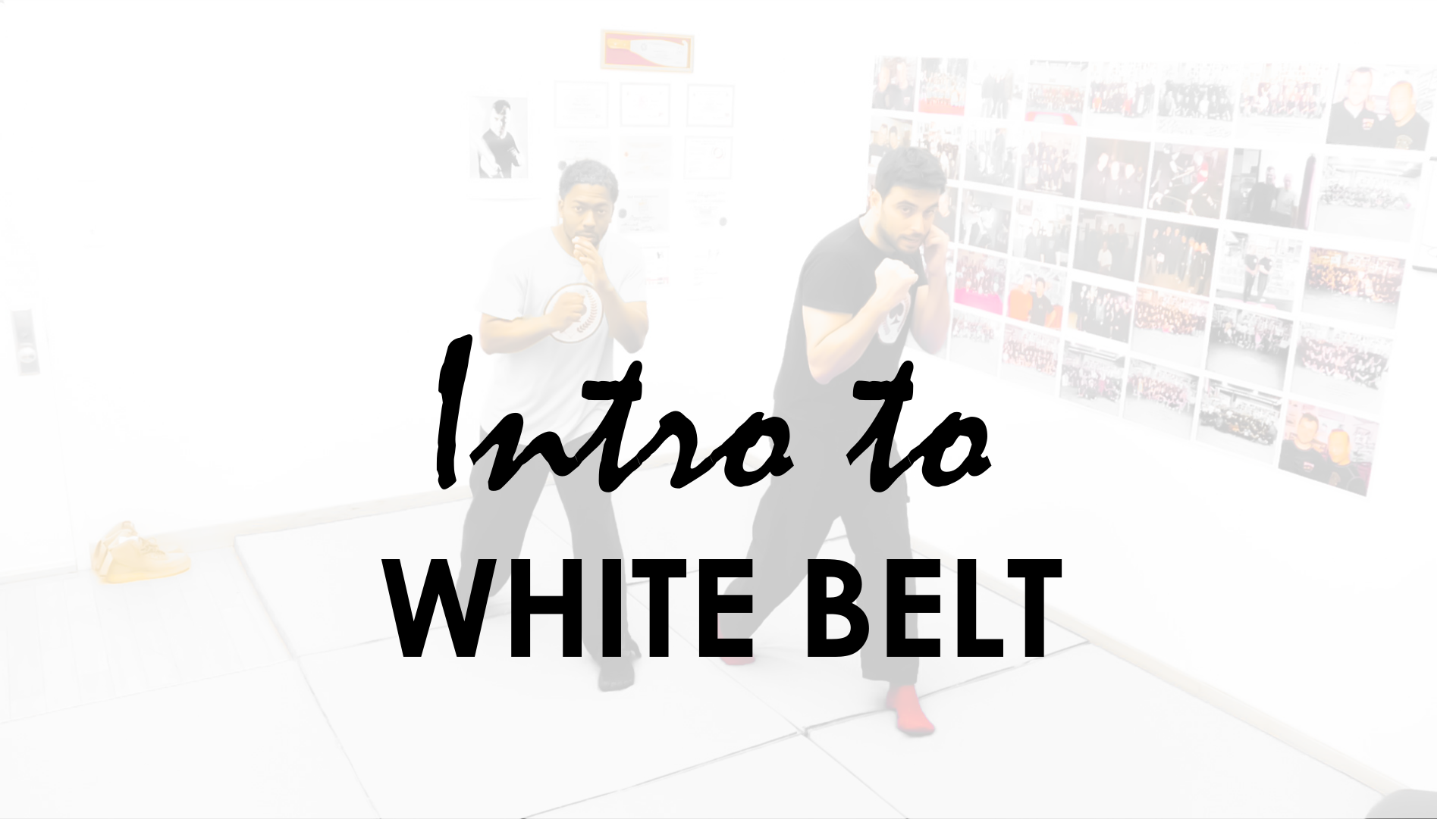 INTRO TO WHITE BELT