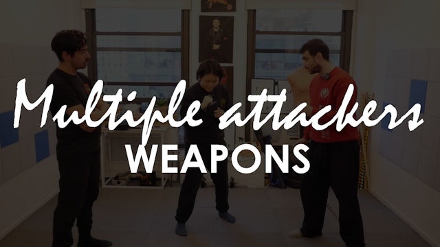 MULTIPLE ATTACKERS. WEAPONS