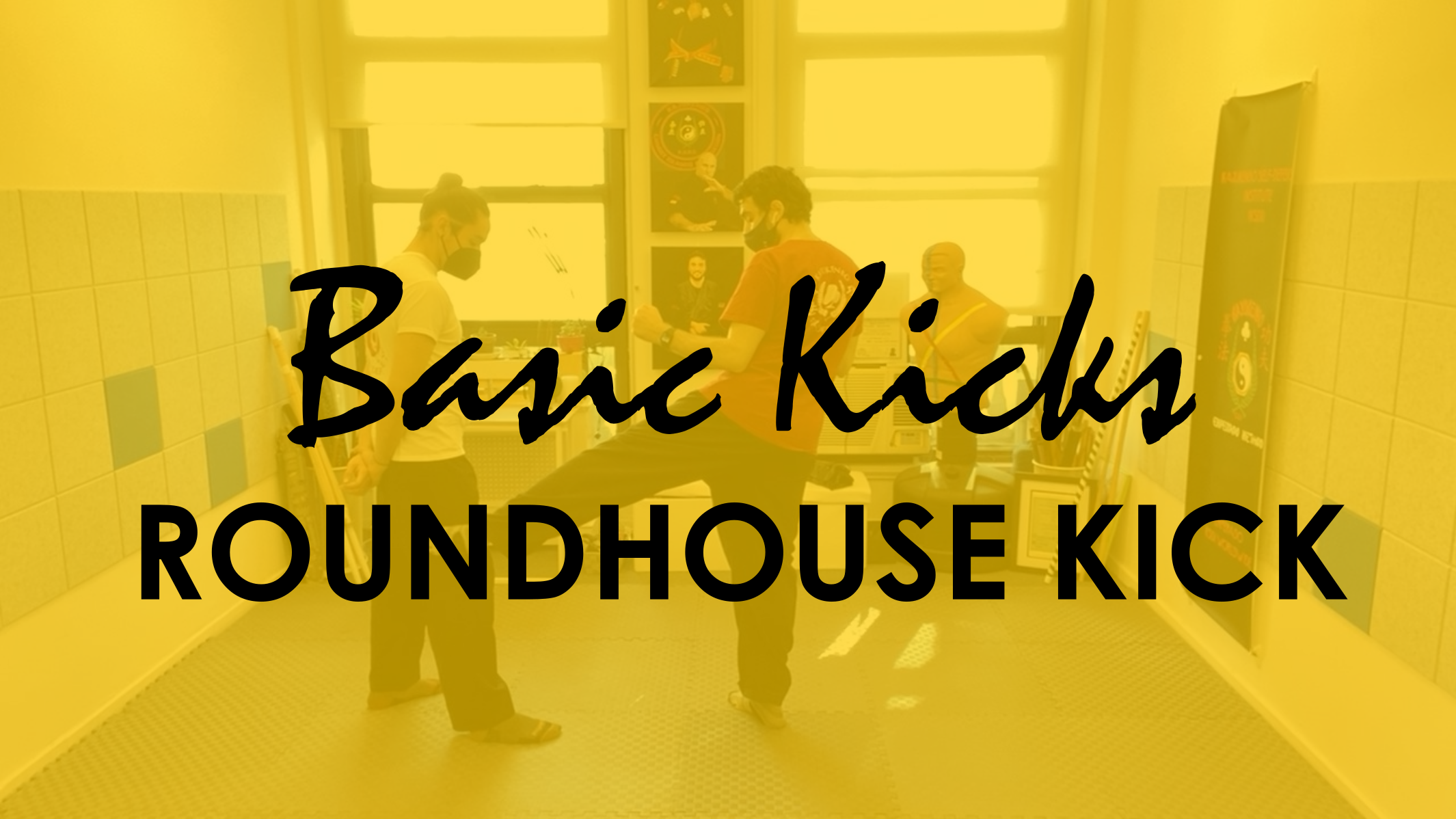 BASIC KICKS: ROUNDHOUSE KICK