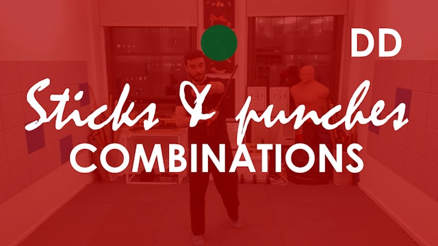 STICKS AND PUNCHES COMBINATIONS