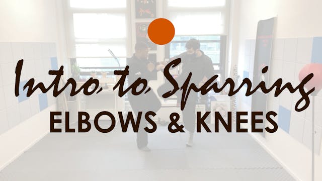 INTRO TO SPARRING. ELBOWS AND KNEES