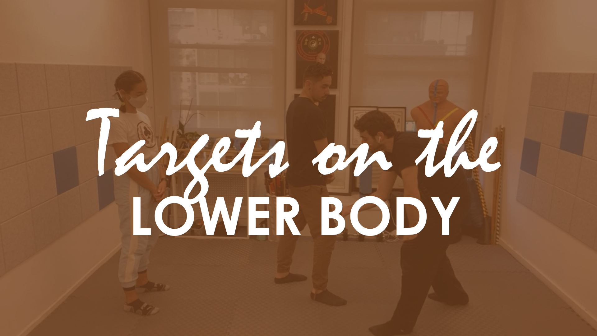 TARGETS ON THE LOWER BODY