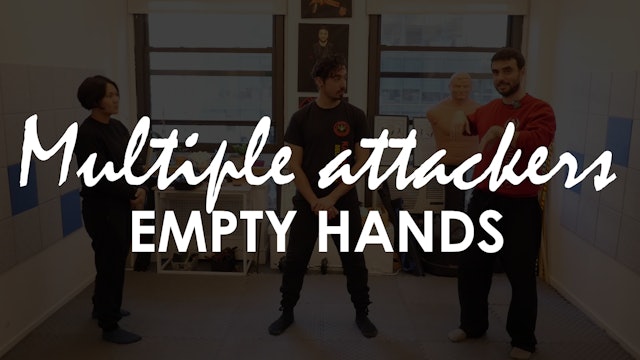 MULTIPLE ATTACKERS. EMPTY HANDS