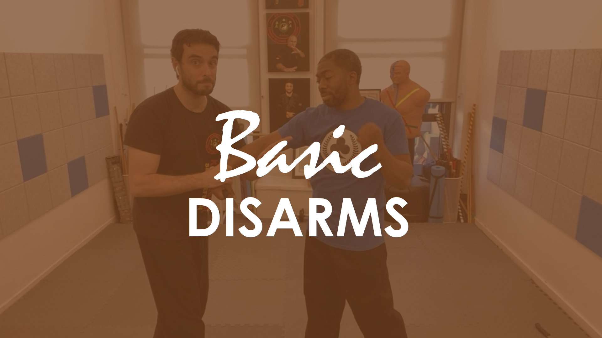 BASIC DISARMS