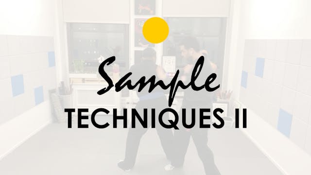 SAMPLE TECHNIQUES II