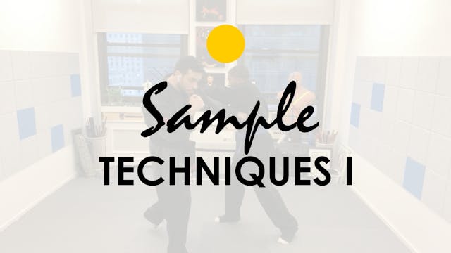 SAMPLE TECHNIQUES I